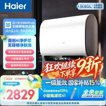 海尔麦浪无镁棒BK5PLUS电热水器60升 国家补贴双胆扁桶 小蓝瓶富锶净…