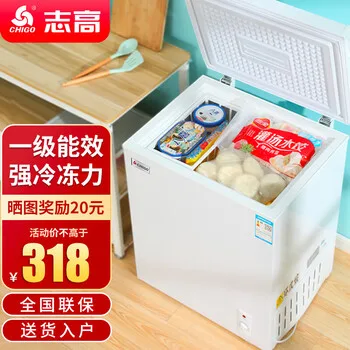 志高（CHIGO）小冰柜家用冷冻小型一级节能省电迷你卧式冷藏保鲜储母乳冷柜…